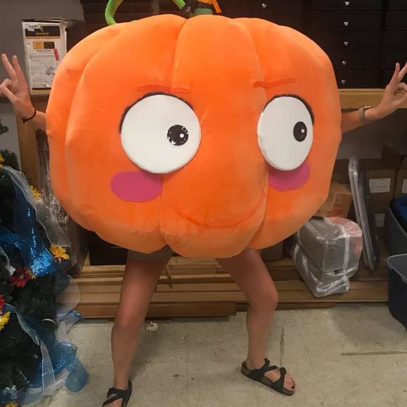 Meet your Posher, Allison - Picture 1 of 1